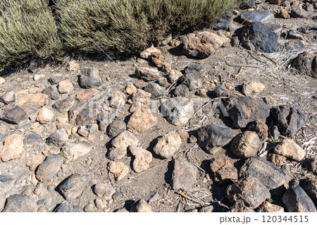 Lava Fields, Pumice Volcano Stones Texture, Volcanic Pumice Pattern, Pieces of Lava, Basalt Extrusive Igneous Rock 120344515