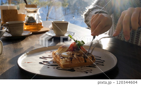 Close-up of a young woman enjoying a sweet waffle dessert in a cozy cafe overlooking a beautiful winter forest 120344604