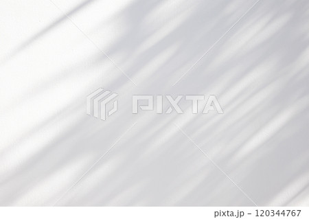 Abstract natural tree leaves shadow on white wall background 120344767
