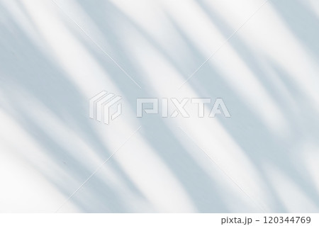 Abstract natural tree leaves shadow on white wall background Abstract natural tree leaves shadow on white wall background 120344769