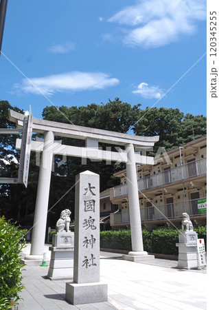 大國魂神社の鳥居【東京都府中市】 大國魂神社の鳥居【東京都府中市】 120345255