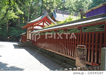 大國魂神社の本殿周囲の透塀【東京都府中市】 大國魂神社の本殿周囲の透塀【東京都府中市】 120345287