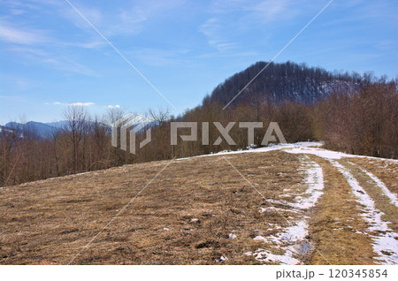 season change in carpathian mountains. birch trees. sunny day in spring. leafless forest and snow on the hill. blue sky season change in carpathian mountains. birch trees. sunny day in spring. leafless forest and snow on the hill. blue sky 120345854