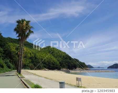 片添ヶ浜海水浴場(山口県周防大島町) 片添ヶ浜海水浴場(山口県周防大島町) 120345983