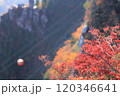 御在所ロープウェイ紅葉 120346641