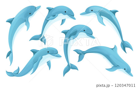 Cartoon dolphin. Sea animal, cute jumping fish swim in zoo, wild flipper in underwater or ocean water, oceanarium inhabitant. Vector isolated characters, cartoon flat illustration set Cartoon dolphin. Sea animal, cute jumping fish swim in zoo, wild flipper in underwater or ocean water, oceanarium inhabitant. Vector isolated characters, cartoon flat illustration set 120347011