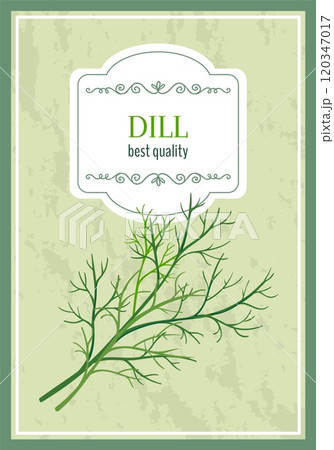 Herbal leaves icon. Green dill twig. Organic herb. Greengrocery label. Natural product. Salad fresh plant. Ripe crop premium quality. Vegetarian ingredient. Vector marketing banner design 120347017