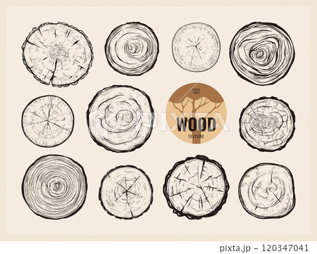 Wood grain. Tree ring logo. Circle trunk log of vein or cut stump. Nature forest type. Circular organic bark. Wooden materials. Oak timber. Pine stump. Vector round symbols design set 120347041