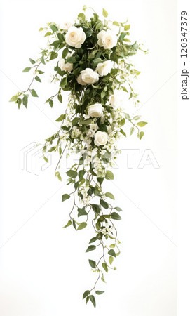 Elegant cascade bridal bouquet with white roses and greenery for wedding design Elegant cascade bridal bouquet with white roses and greenery for wedding design 120347379