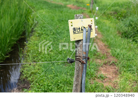 電気牧柵のイメージ　(写真素材) 120348940