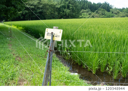 電気牧柵のイメージ (写真素材) 電気牧柵のイメージ (写真素材) 120348944