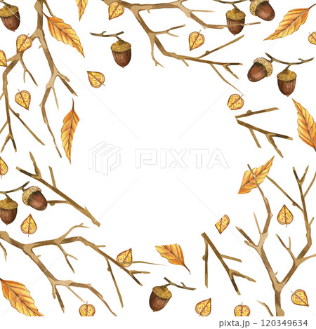 Acorns, bare tree branches, yellow leaves, round frame. All objects are hand-drawn with brown, yellow watercolor. Watercolor illustration. For printing on fabric, paper, for invitations, postcards. Acorns, bare tree branches, yellow leaves, round frame. All objects are hand-drawn with brown, yellow watercolor. Watercolor illustration. For printing on fabric, paper, for invitations, postcards. 120349634