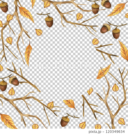 Acorns, bare tree branches, yellow leaves, round frame. All objects are hand-drawn with brown, yellow watercolor. Watercolor illustration. For printing on fabric, paper, for invitations, postcards. Acorns, bare tree branches, yellow leaves, round frame. All objects are hand-drawn with brown, yellow watercolor. Watercolor illustration. For printing on fabric, paper, for invitations, postcards. 120349634