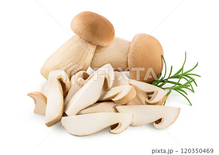 Fresh porcini cep mushroom isolated on white background with full depth of field Fresh porcini cep mushroom isolated on white background with full depth of field 120350469