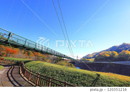 紅葉の塩原渓谷 もみじ谷大吊橋／栃木県那須塩原市 120351216