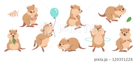 Cartoon quokka. Funny quokka hold hold leaf and balloon, jump and doing exercises. Tiny australian animal with baby, cute wallaby nowaday vector set 120351228