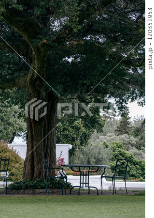 Lunch place under the branches of a large tree in courtyard, surrounded by trees and bushes. Plastic outdoor furniture 120351953