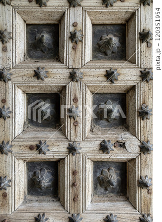Antique old door made of wood and metal with floral pattern 120351954