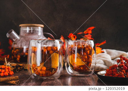 Tea with rowan berries in glasses and a teapot on the table 120352019
