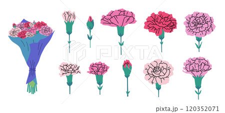 Cartoon Color Different Carnation Set Symbol of Mothers Day Concept Flat Design Style Include of Bouquet and Bud. Vector illustration 120352071