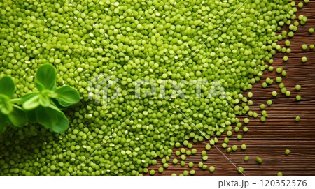 Top view of green lentils on wooden table with a sprig of greenery. Background texture of uncooked lentils. Copy space. Macro. Can be used in food and nutrition related content 120352576