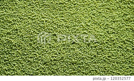 Close-up view of fresh green peas evenly scattered on the table. Top view. Copy space. Perfect for backgrounds or textures in food and health-related projects 120352577