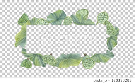 Watercolor lotus leaves with flower pods horizontal border. Hand drawn green water lily foliage, seed heads illustration for invitation, ayurveda products, spa center label, greeting cards 120353293