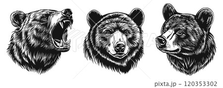 Brown bear head portrait set. Profile angry roaring forest animal. Front and side view. Wild savage predator mammal. Black and white simple linocut tatoo silhouette style. Isolated vector on white 120353302