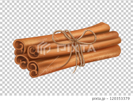 A bunch of fragrant cinnamon sticks tied with a jute rope. Spices for delicious food and drinks. Cozy handmade decor from recyclable materials, eco toy for a Christmas tree. Isolated illustration A bunch of fragrant cinnamon sticks tied with a jute rope. Spices for delicious food and drinks. Cozy handmade decor from recyclable materials, eco toy for a Christmas tree. Isolated illustration 120353379