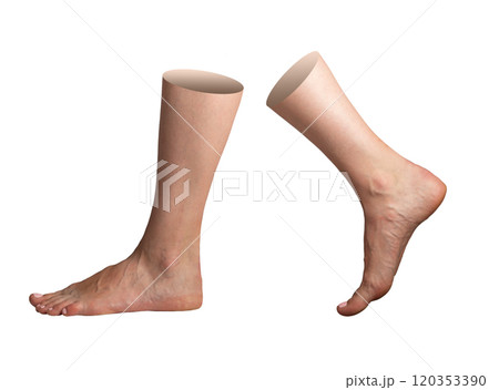 Bare foot and leg, isolated on a white background. Smooth, clean skin symbolizing health, beauty, Bare foot and leg, isolated on a white background. Smooth, clean skin symbolizing health, beauty, 120353390