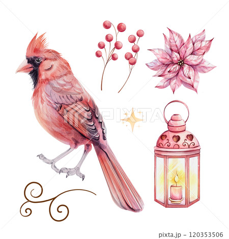 Watercolor set - Christmas bird red cardinal, isolated. Symbol of Christmas. Red berries, Poinsettia, lantern. Hand drawn illustration. For Merry Christmas winter card Watercolor set - Christmas bird red cardinal, isolated. Symbol of Christmas. Red berries, Poinsettia, lantern. Hand drawn illustration. For Merry Christmas winter card 120353506