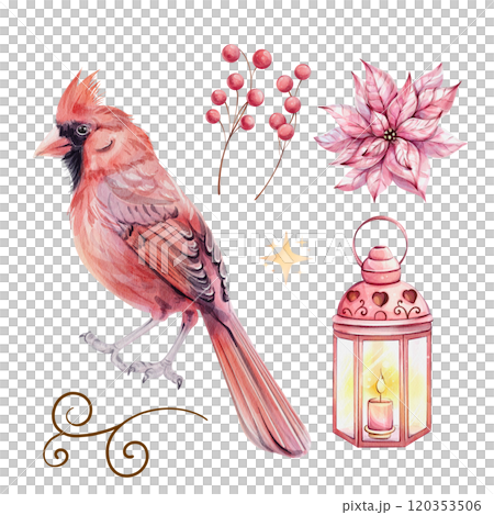 Watercolor set - Christmas bird red cardinal, isolated. Symbol of Christmas. Red berries, Poinsettia, lantern. Hand drawn illustration. For Merry Christmas winter card Watercolor set - Christmas bird red cardinal, isolated. Symbol of Christmas. Red berries, Poinsettia, lantern. Hand drawn illustration. For Merry Christmas winter card 120353506