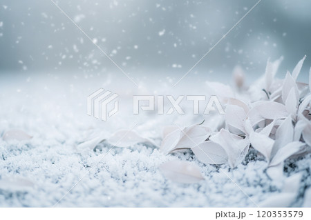 Snowfall covers fallen leaves on a chilly winter day, creating a serene and peaceful landscape in a quiet natural setting Snowfall covers fallen leaves on a chilly winter day, creating a serene and peaceful landscape in a quiet natural setting 120353579