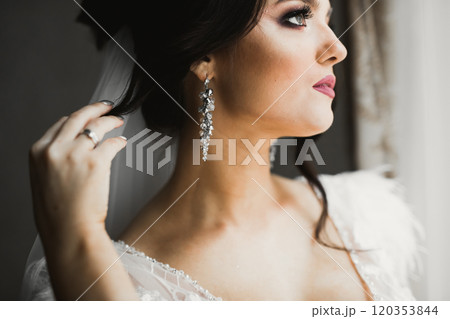 Portrait of a beautiful fashion bride, sweet and sensual. Wedding make up and hair Portrait of a beautiful fashion bride, sweet and sensual. Wedding make up and hair 120353844