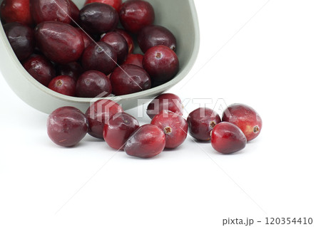 Fresh Cranberries Spilling from Gray Bowl on White Background 120354410