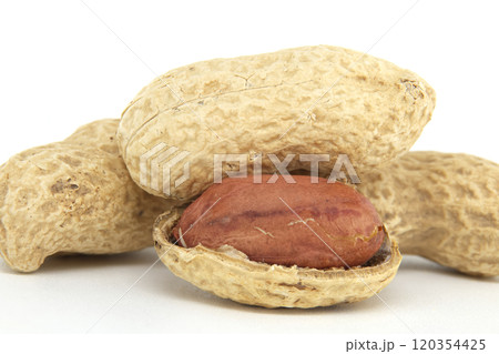 Close-Up of Whole Peanuts with Shell and Kernel 120354425