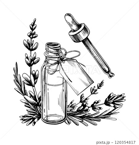 Glass bottle with a pipette for serum, oil with a bow and a tag for an inscription with flowers and branches of lavender. Graphic illustration line art hand-drawn in black and white monochrome. Glass bottle with a pipette for serum, oil with a bow and a tag for an inscription with flowers and branches of lavender. Graphic illustration line art hand-drawn in black and white monochrome. 120354817