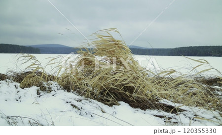 A breathtaking winter landscape showcasing both grassy patches and a beautiful snowy field. Stock Clip A breathtaking winter landscape showcasing both grassy patches and a beautiful snowy field. Stock Clip 120355330