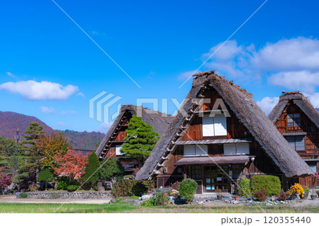 【世界遺産】紅葉真っ盛りの白川郷【岐阜県】 120355440