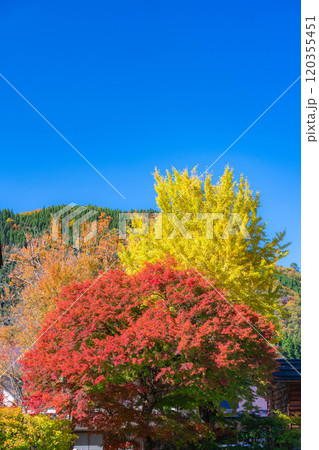 【世界遺産】紅葉真っ盛りの白川郷【岐阜県】 【世界遺産】紅葉真っ盛りの白川郷【岐阜県】 120355451