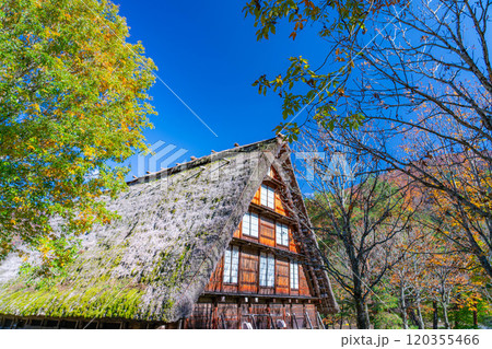 【世界遺産】紅葉真っ盛りの白川郷【岐阜県】 【世界遺産】紅葉真っ盛りの白川郷【岐阜県】 120355466
