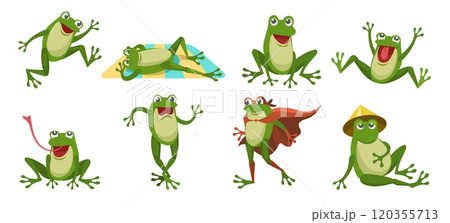 Cartoon frog illustration Cartoon frog illustration 120355713