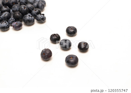 白バックのブルーベリー 白バックのブルーベリー 120355747
