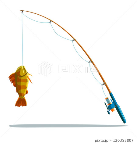 Fishing rod and caught sea bass 120355807