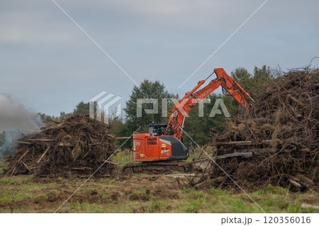 FRANCE, GIRONDE, NAUJAN-ET-POSTIAC, BORDEAUX VINEYARD UPROOTING CAMPAIGN WITH BACKHOE LOADER 120356016