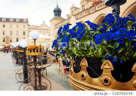 A hanging flowerpot decorates the streets of a European city. 120356234