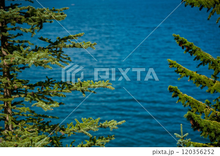 Evergreen pines against the backdrop of the beautiful turquoise Lake Minewanka in the mountains of Banff National Park in Canada 120356252