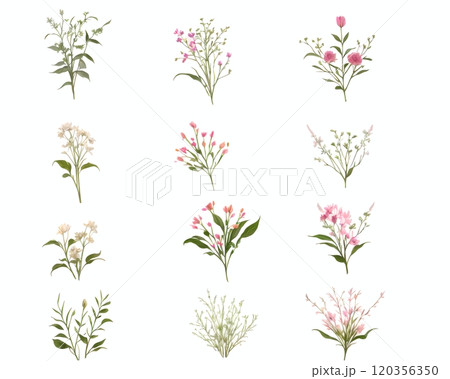 AIで生成したいろいろな植物のイラストセット 120356350