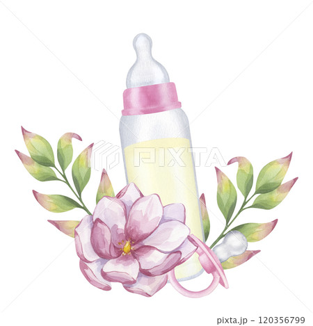 Baby milk bottle, pacifier, pink magnolia flower, leaves. Newborn girl. Infant formula food. Hand drawn watercolor illustration isolated on white background. Gender reveal party, shower, invitation 120356799