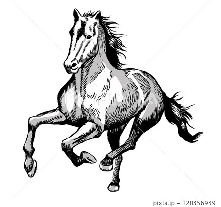 2026年午年、年賀状用パーツ 120356939